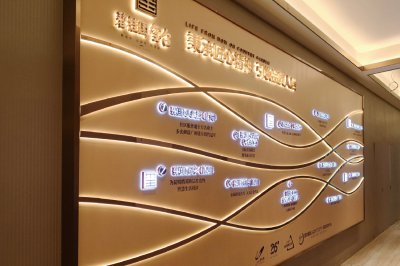 碧桂园售楼部背景墙